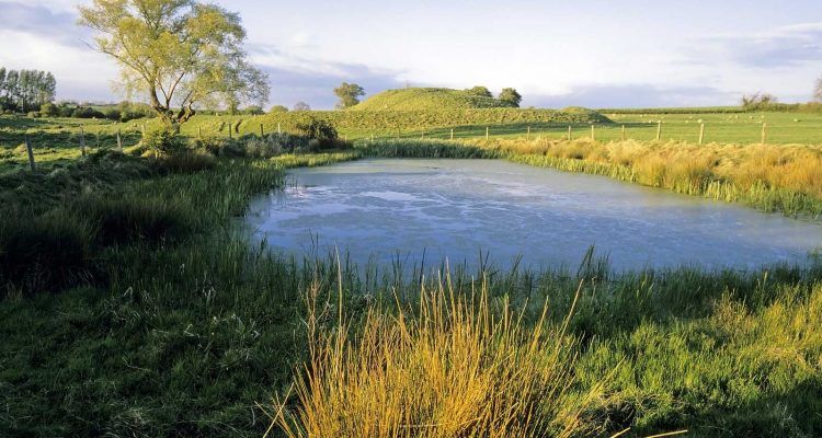How And Why You Should Build A Farm Pond, Farm Pond Design