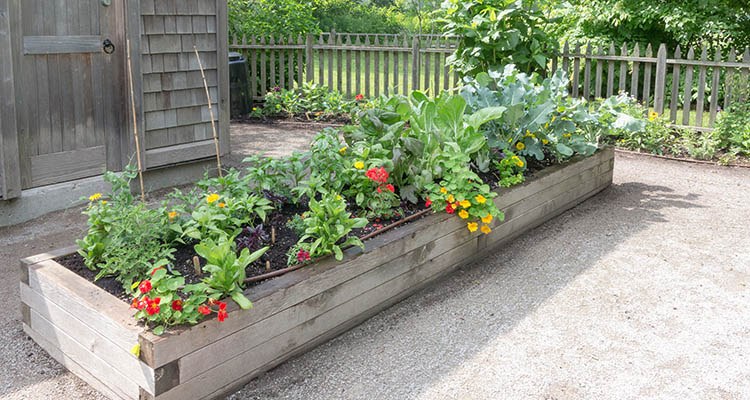 Why Raised Garden Bed Liners Are A Necessary Layer